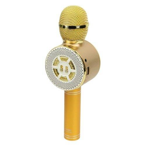 میکروفون و اسپیکر بلوتوثی رم و فلش خور WS-669